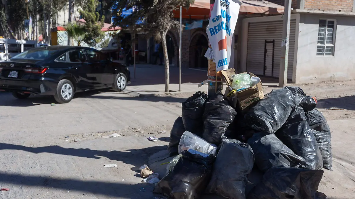 Fraccionamientos, sin agua ni recolección de basura en Villa de Pozos (2)